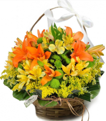 Cesta Flores em Festa