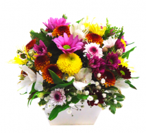 Arranjo de Flores Coloridas