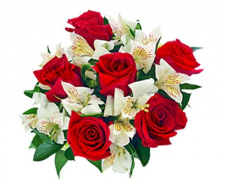 Buquê com 06 Rosas Colombianas Vermelhas e Mix com Astromélias